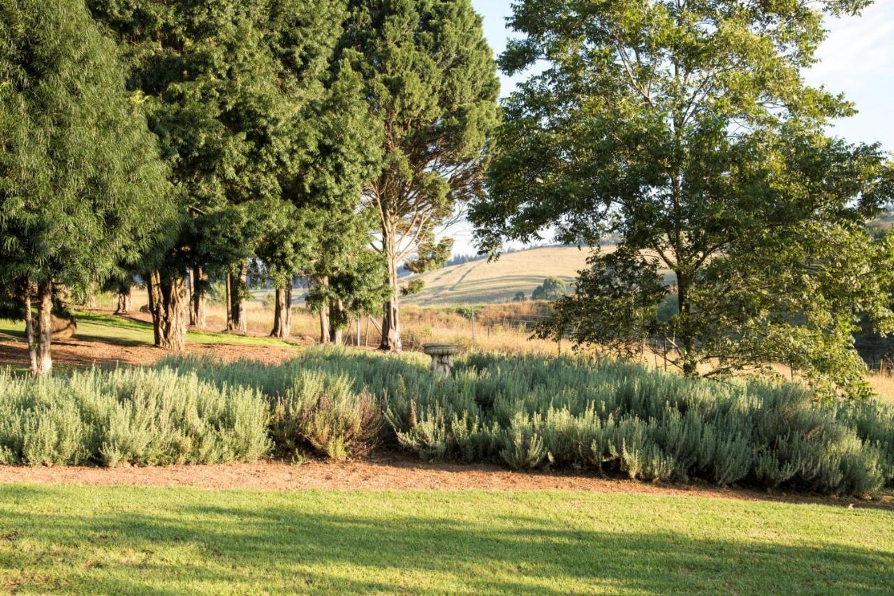 Lions River Country Cottages 外观 照片